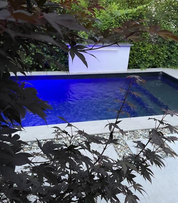 Villa Moderne Avec Piscine Albi Extérieur photo